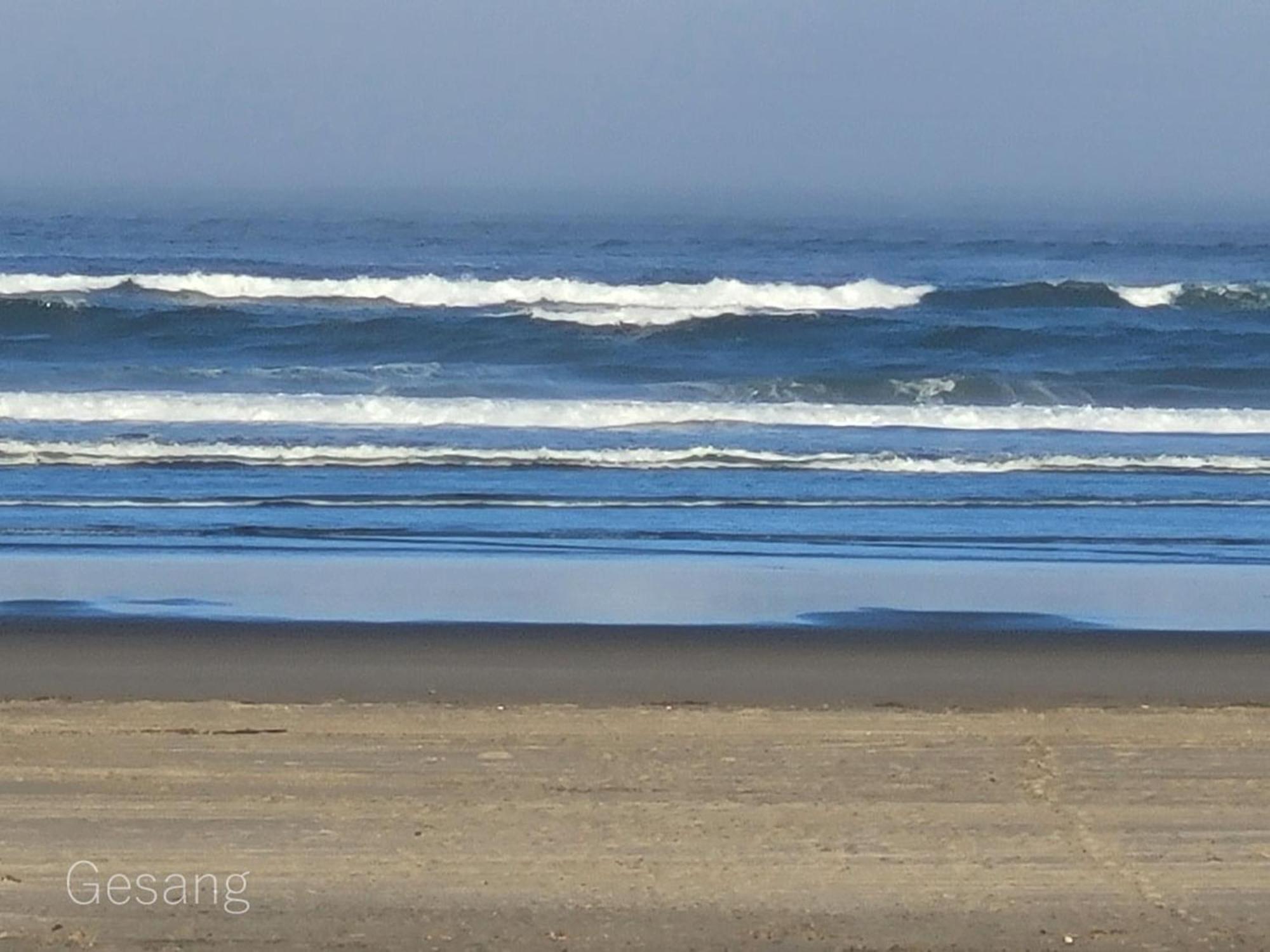 Octopus Lair, Walk To Beach, A/C, Shuffleboard, Dogsok Holiday home Long Beach