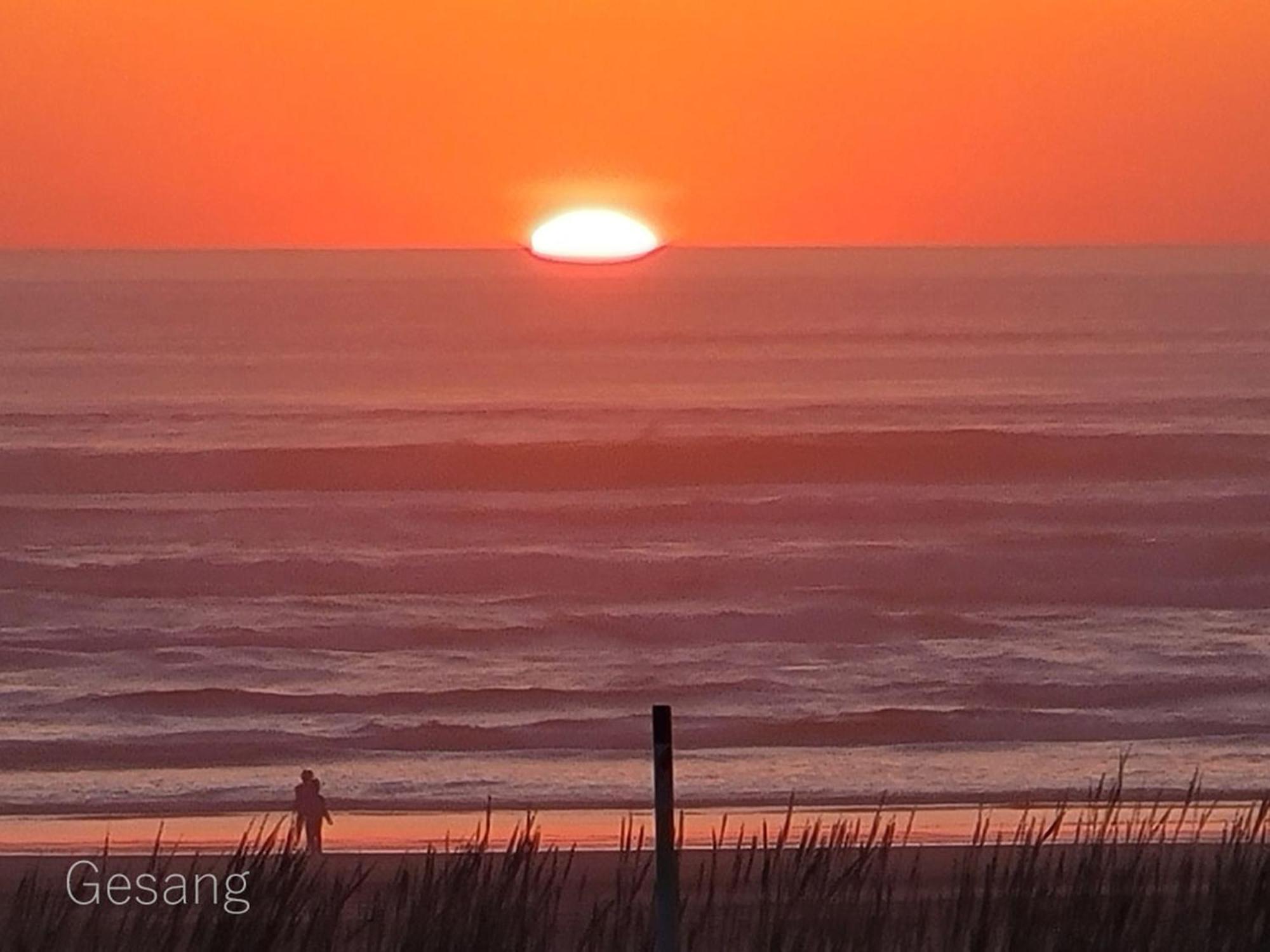 Octopus Lair, Walk To Beach, A/C, Shuffleboard, Dogsok Holiday home Long Beach